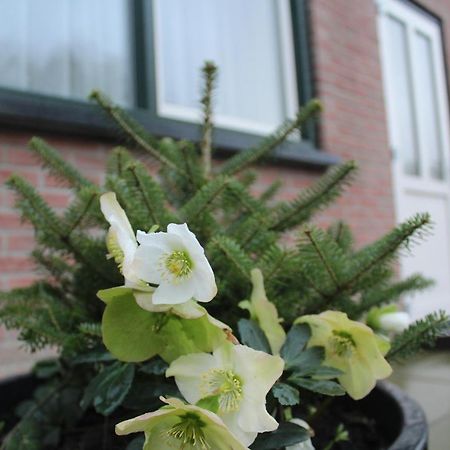 Woubrugge Landzicht 아파트 외부 사진