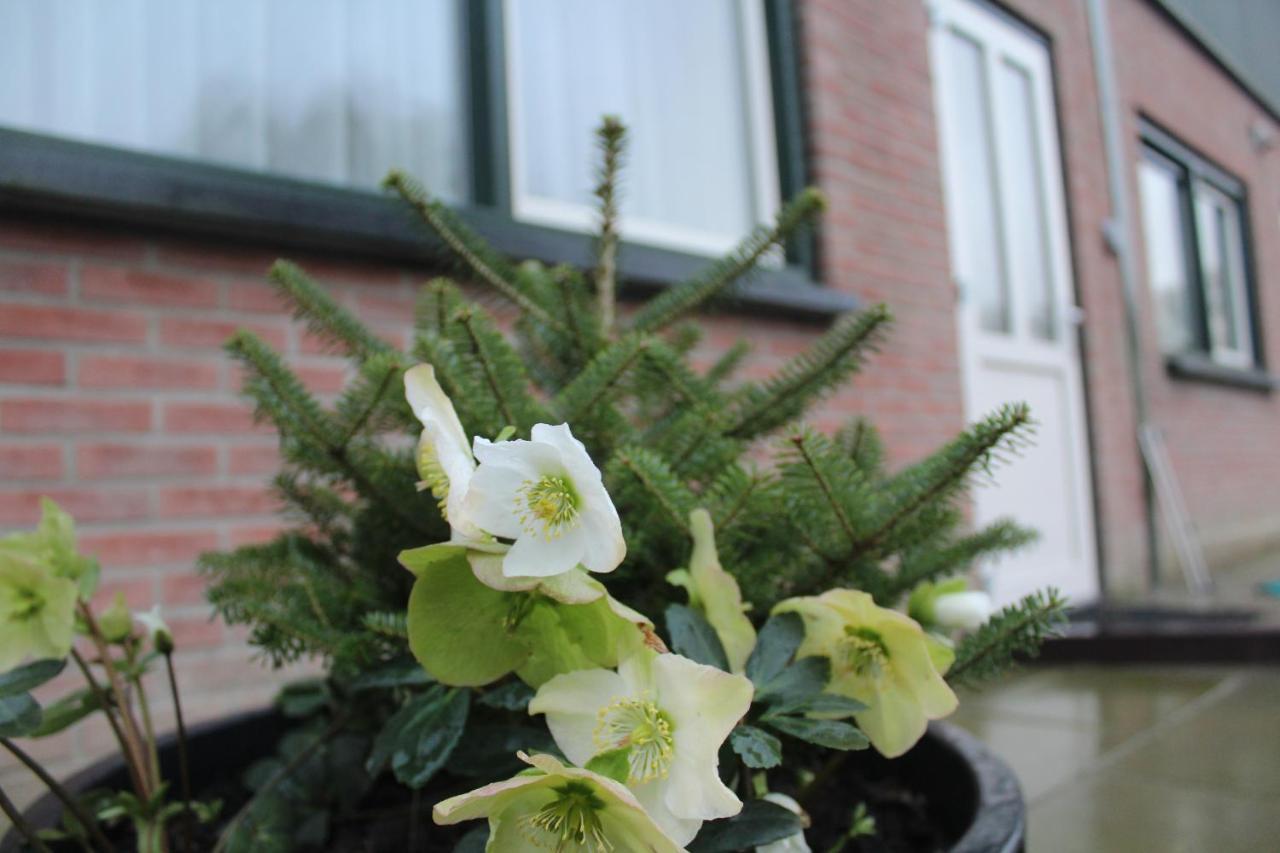 Woubrugge Landzicht 아파트 외부 사진